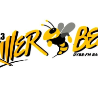 Killerbee 106.3 Bacolod Weekly Top 40 February 17, 2013	